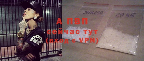 хмурый Алзамай