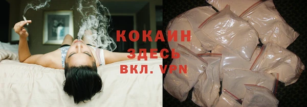 дживик Абаза