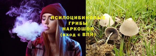 спайс Алексин