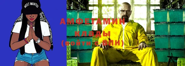 дживик Абаза