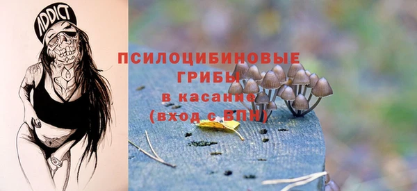 хмурый Алзамай